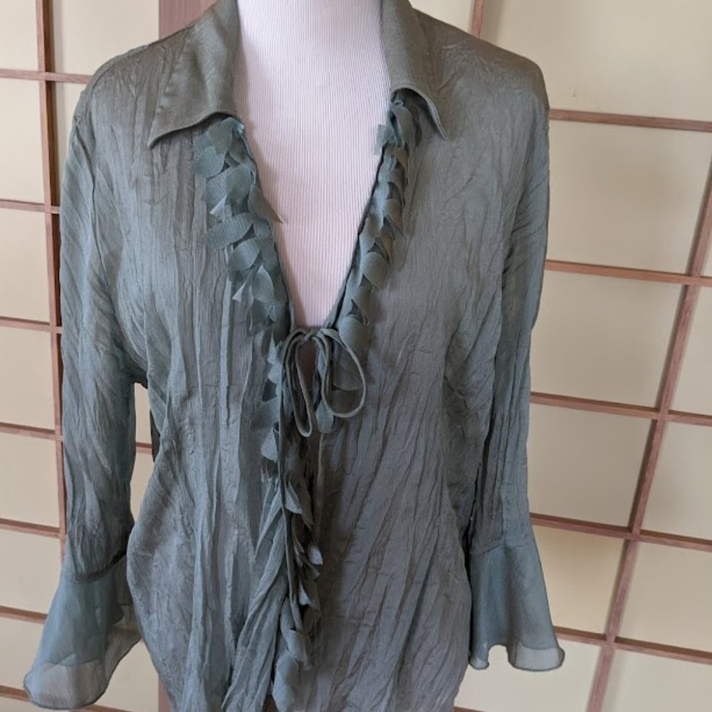 Jaipur Women Sheer Women Top. Size M